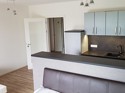 Pronájem bytu 1+kk 39 m² (Jednopodlažní)