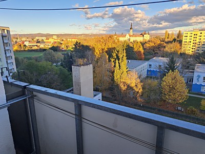 Prodej bytu 2+1 50 m² (Jednopodlažní)