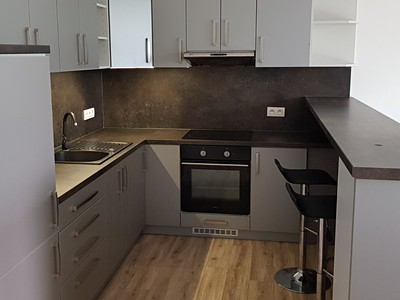 Pronájem bytu 1+kk 39 m² (Jednopodlažní)