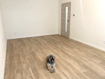 Prodej bytu 3+1 80 m²