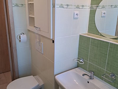 Prodej bytu 2+1 50 m² (Jednopodlažní)