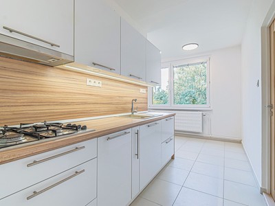 Pronájem bytu 3+1 69 m²