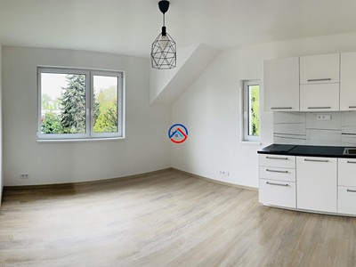 Pronájem bytu 1+kk 33 m²