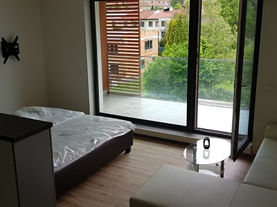 Pronájem bytu 1+kk 39 m² (Jednopodlažní)